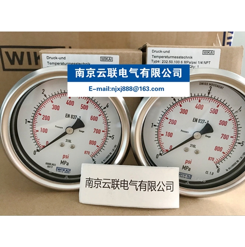 WIKA 232.50.100波登管压力表，不锈钢型 - 副